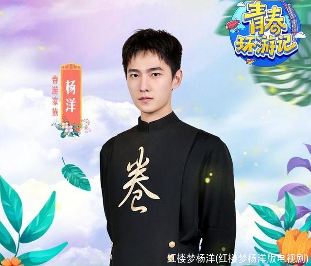 红楼梦杨洋(红楼梦杨洋版电视剧)