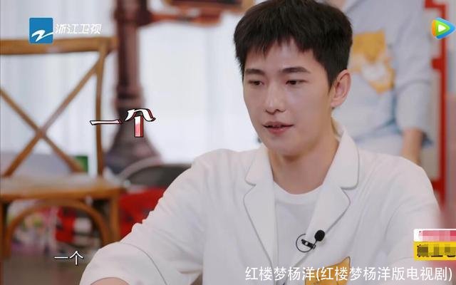 红楼梦杨洋(红楼梦杨洋版电视剧)