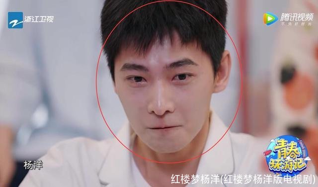 红楼梦杨洋(红楼梦杨洋版电视剧)