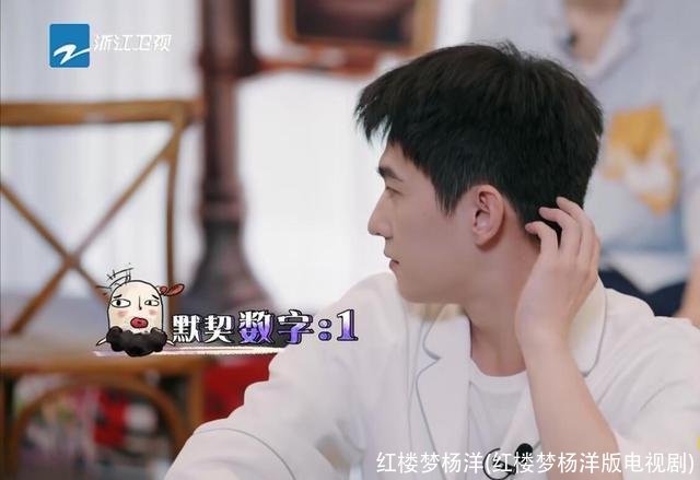 红楼梦杨洋(红楼梦杨洋版电视剧)