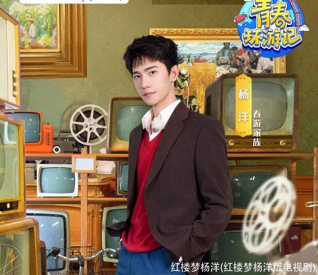 红楼梦杨洋(红楼梦杨洋版电视剧)