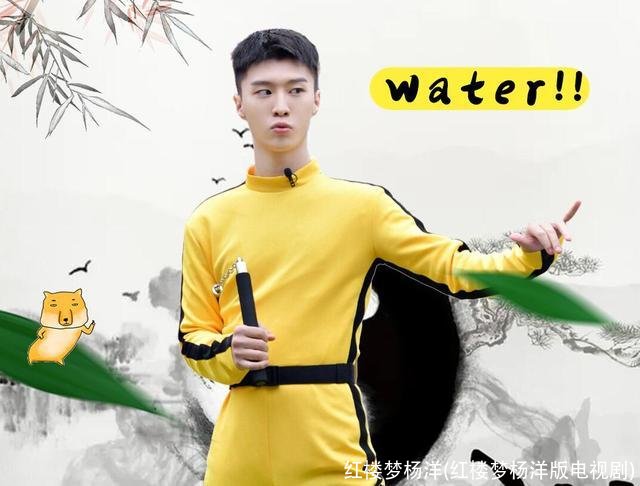 红楼梦杨洋(红楼梦杨洋版电视剧)