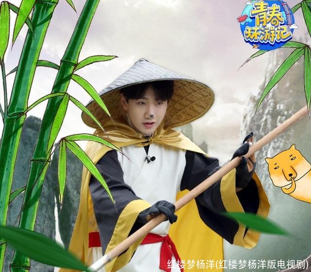 红楼梦杨洋(红楼梦杨洋版电视剧)