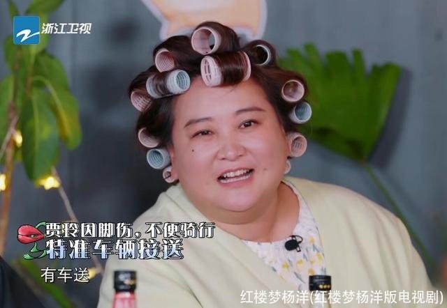 红楼梦杨洋(红楼梦杨洋版电视剧)