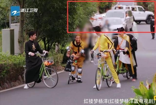 红楼梦杨洋(红楼梦杨洋版电视剧)