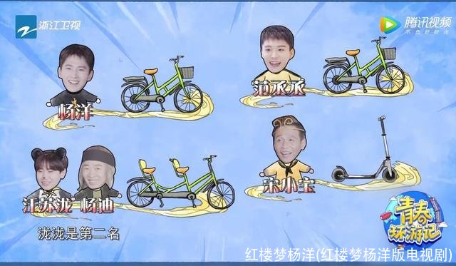 红楼梦杨洋(红楼梦杨洋版电视剧)