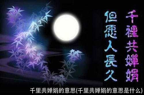 千里共婵娟的意思(千里共婵娟的意思是什么)