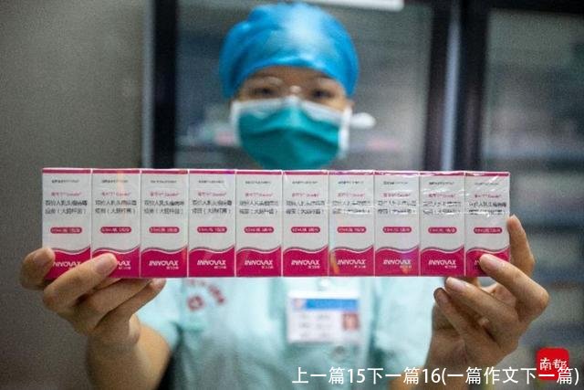 上一篇15下一篇16(一篇作文下一篇)