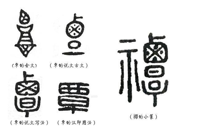 王字的来历(王字的来历故事)