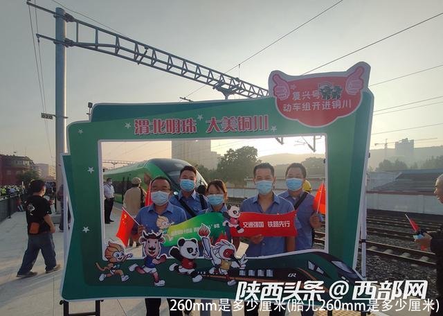 260mm是多少厘米(胎儿260mm是多少厘米)