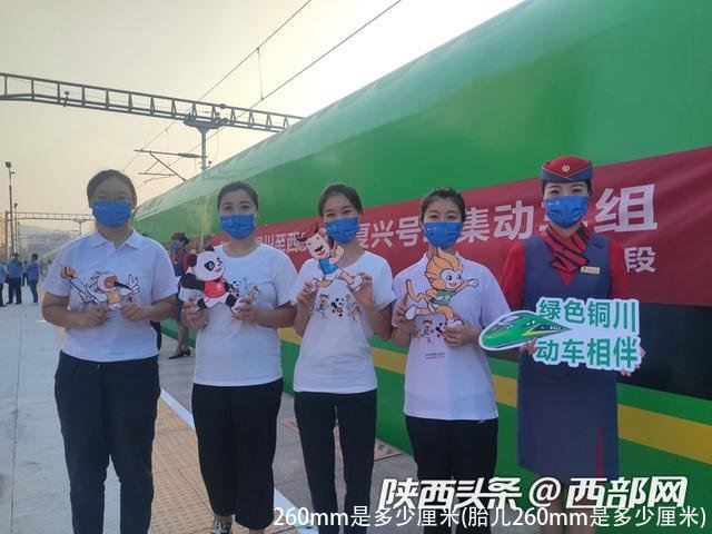 260mm是多少厘米(胎儿260mm是多少厘米)