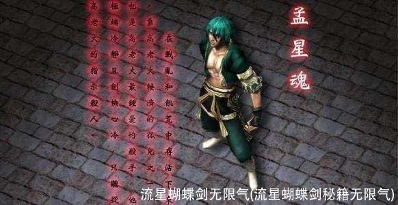 流星蝴蝶剑无限气(流星蝴蝶剑秘籍无限气)