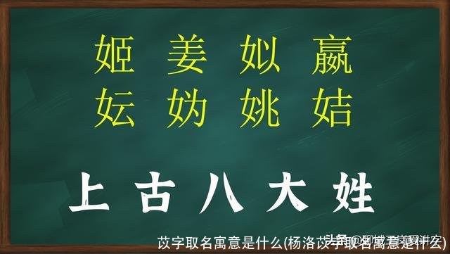 苡字取名寓意是什么(杨洛苡字取名寓意是什么)
