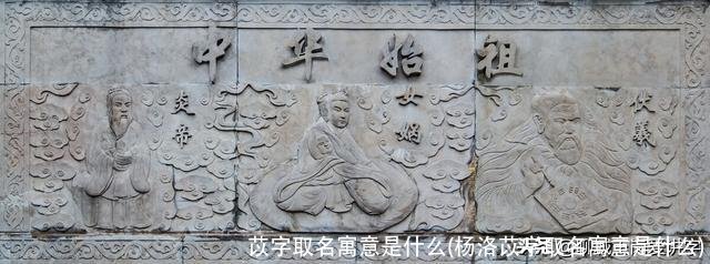 苡字取名寓意是什么(杨洛苡字取名寓意是什么)