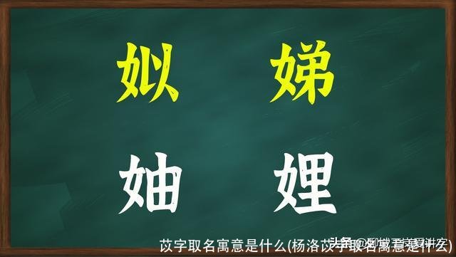 苡字取名寓意是什么(杨洛苡字取名寓意是什么)
