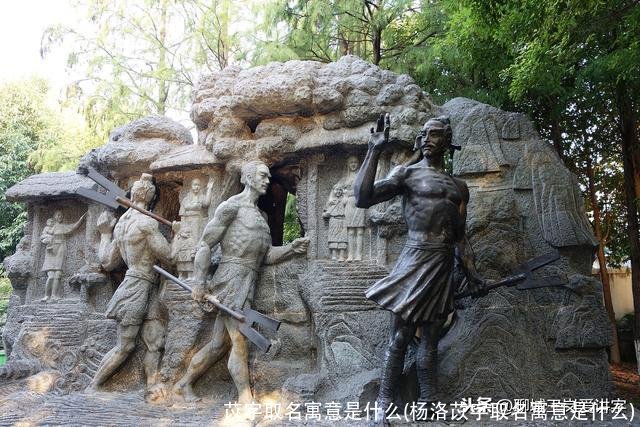 苡字取名寓意是什么(杨洛苡字取名寓意是什么)