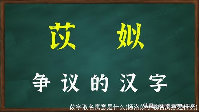 苡字取名寓意是什么(杨洛苡字取名寓意是什么)