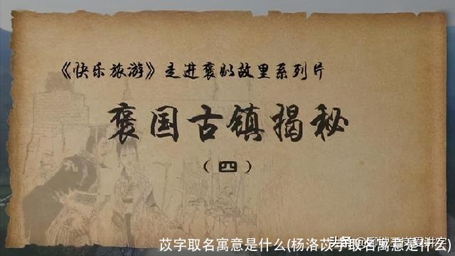 苡字取名寓意是什么(杨洛苡字取名寓意是什么)