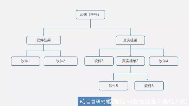 微鲤坑人(微优选是不是坑人的)