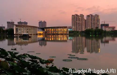 舟山gdp(舟山gdp人均)