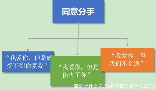挚爱是什么意思(备注挚爱是什么意思)