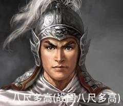 八尺多高(战国八尺多高)