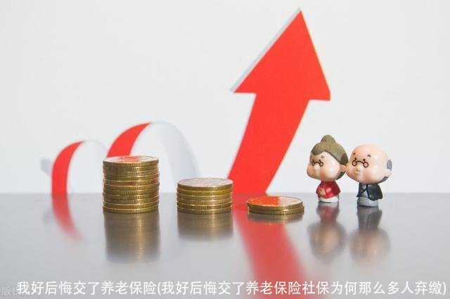 我好后悔交了养老保险(我好后悔交了养老保险社保为何那么多人弃缴)