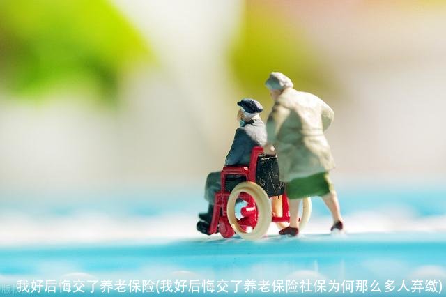 我好后悔交了养老保险(我好后悔交了养老保险社保为何那么多人弃缴)