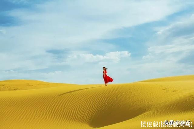 楼俊毅(楼俊毅义乌)