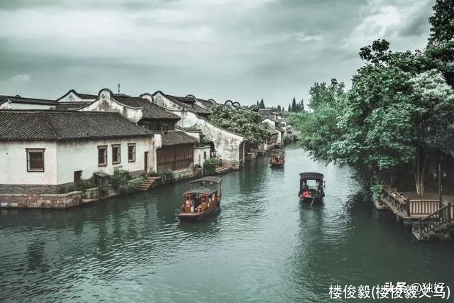 楼俊毅(楼俊毅义乌)