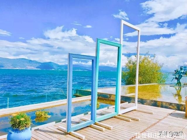 楼俊毅(楼俊毅义乌)