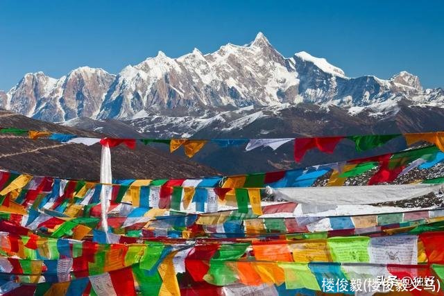 楼俊毅(楼俊毅义乌)