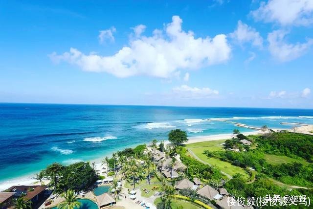 楼俊毅(楼俊毅义乌)