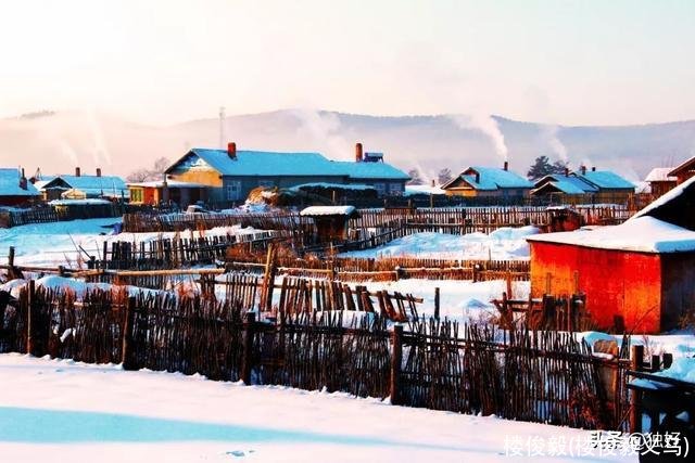 楼俊毅(楼俊毅义乌)