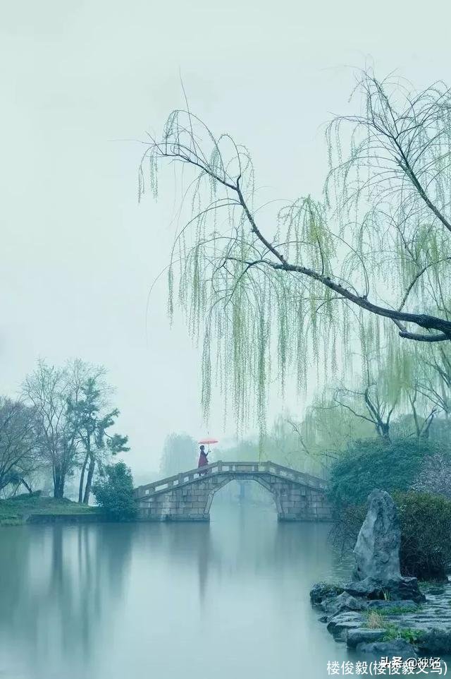 楼俊毅(楼俊毅义乌)