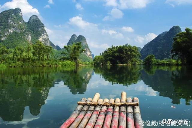 楼俊毅(楼俊毅义乌)