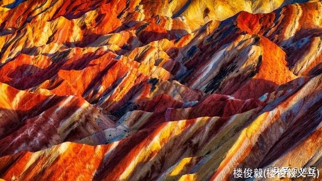 楼俊毅(楼俊毅义乌)