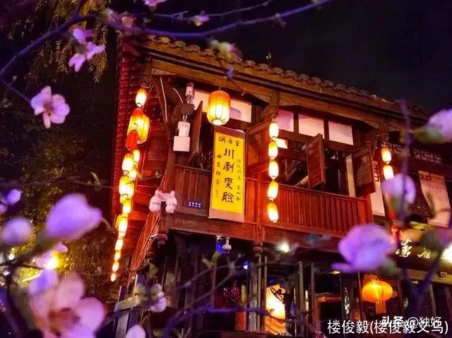 楼俊毅(楼俊毅义乌)