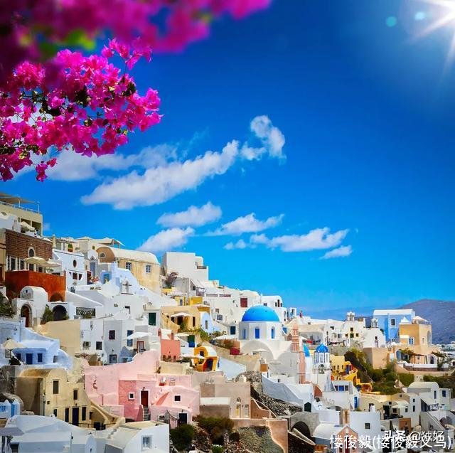 楼俊毅(楼俊毅义乌)