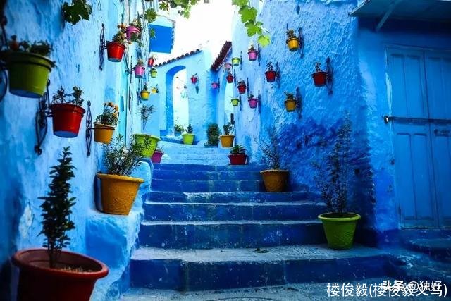 楼俊毅(楼俊毅义乌)