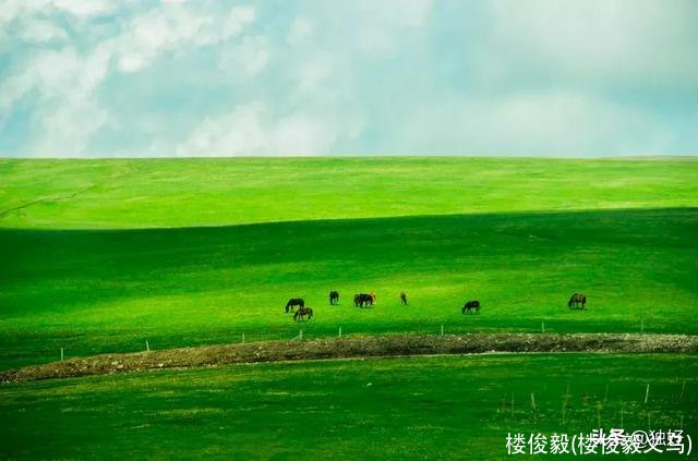 楼俊毅(楼俊毅义乌)