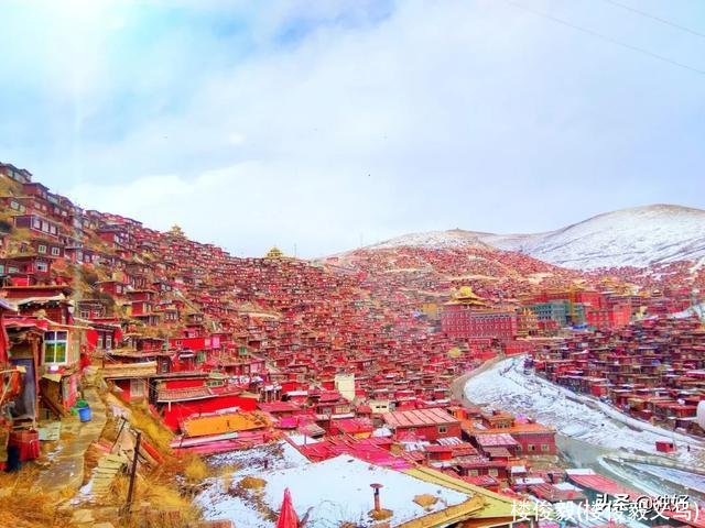 楼俊毅(楼俊毅义乌)