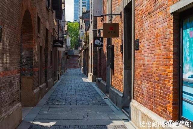 楼俊毅(楼俊毅义乌)