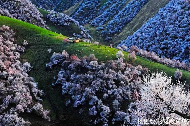 楼俊毅(楼俊毅义乌)