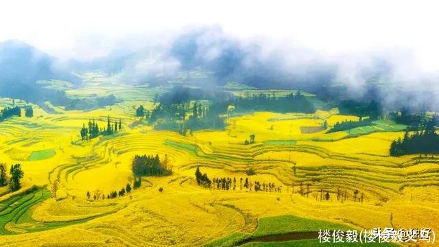 楼俊毅(楼俊毅义乌)