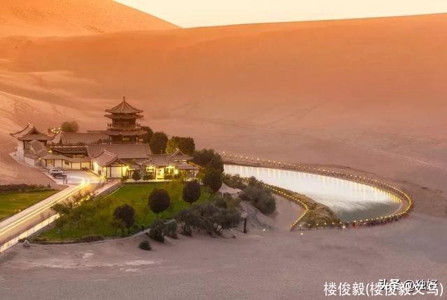 楼俊毅(楼俊毅义乌)