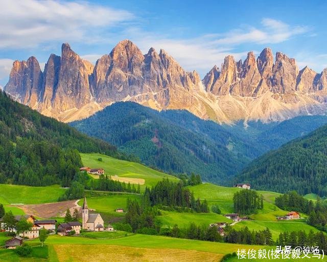 楼俊毅(楼俊毅义乌)