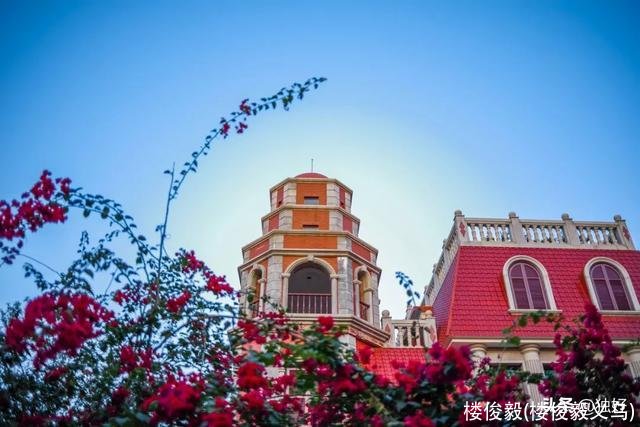 楼俊毅(楼俊毅义乌)