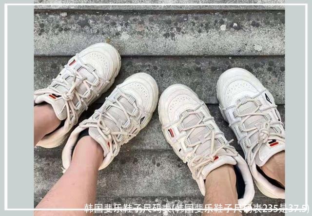 韩国斐乐鞋子尺码表(韩国斐乐鞋子尺码表235是37.5)