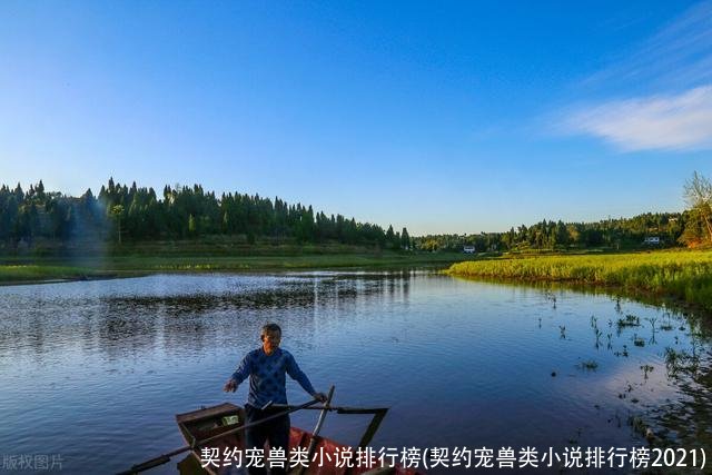 契约宠兽类小说排行榜(契约宠兽类小说排行榜2021)